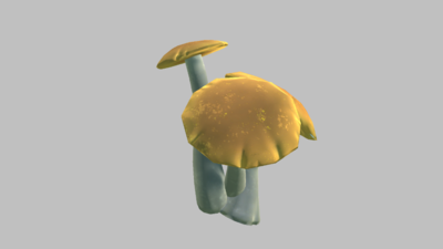 蘑菇3