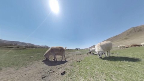 蒙古虚拟现实之旅